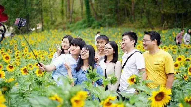 �������������� ����þ��w���� Ӣɽ���ļ������������׬F(xi��n)ȫ������