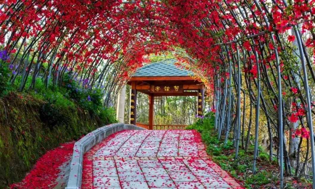 �����ʺ͏͹������𣺴�ů���_��ꖹ���ښw�̵�·��