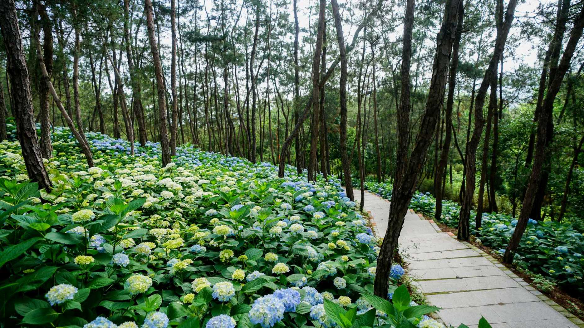 �������Ώ��K �S���V���ҕ�_��ͨ�����V������Ҋ��һ �ж����㡱���{�����λ�ӈA�M�Y��