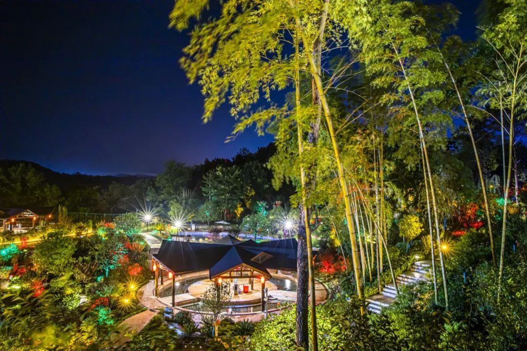 Ӣɽ�ļ�����ӭ��2020������ģ�����B�F