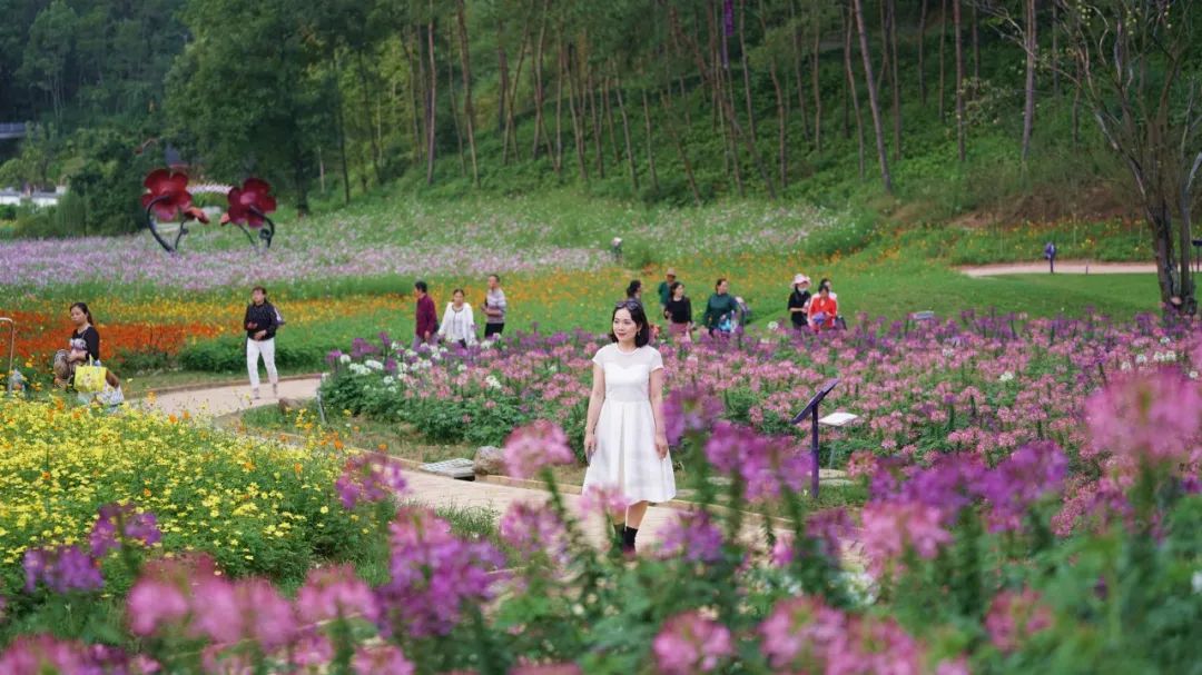 �p���S�����ļ��������c���