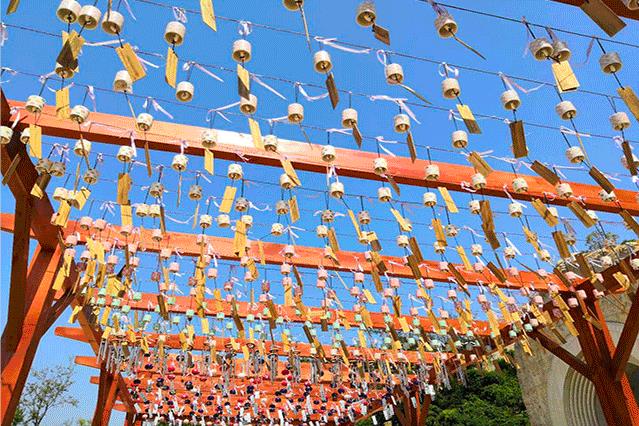 �cף���^�_�@6���꣺�ļ��������֮�㡤���Ø��@�Ļ����ι�4��22�Ն�Ļ